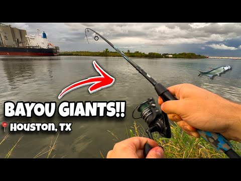 Видео: Ловля гигантов в Хьюстон-Байю!! (Mullet Run) | Центр Хьюстона