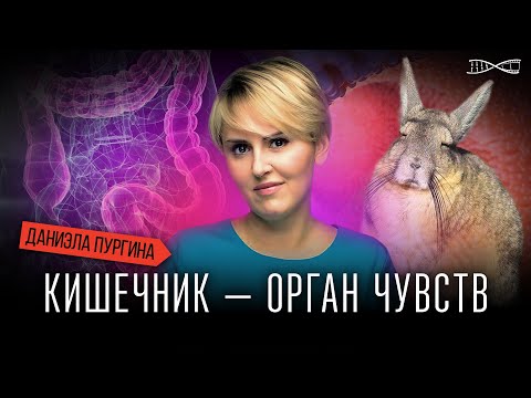 Видео: Лекция Даниэлы Пургиной  "Почему кишечник можно считать органом чувств?"