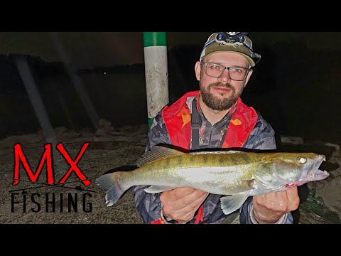 Видео: Судак на воблеры и силикон/Река Рейн #судак #спиннинг