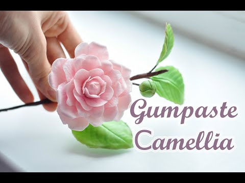 Видео: Gumpaste Camellia Tutorial.Камелия из мастики. Sugar Flowers. Fondant Flowers.