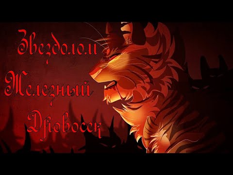 Видео: ЗАКАЗ Коты Воители Щербатая и Звездолом: Железный дровосек [Кассиопея]