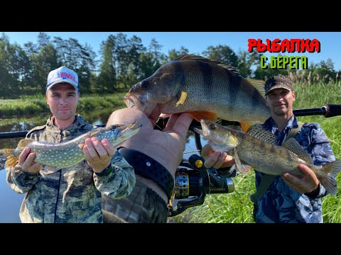 Видео: Только на это берет...КРУПНЫЙ ОКУНЬ ПОД НОГАМИ НА МИКРО РЕЧКЕ.