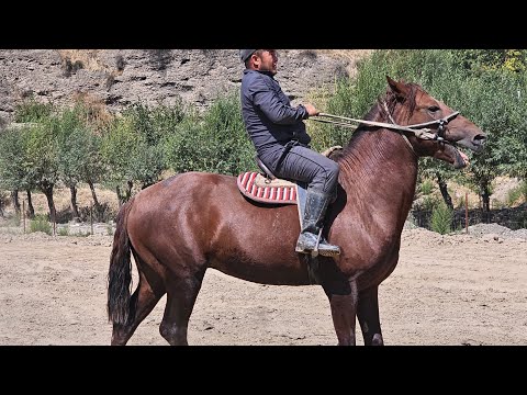 Видео: ЖУМУРУ КҮРӨҢ КҮЛҮК 
