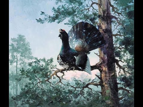 Видео: Охота на Глухаря, лучше выстрела и интересное моменты,Capercaillie Hunt