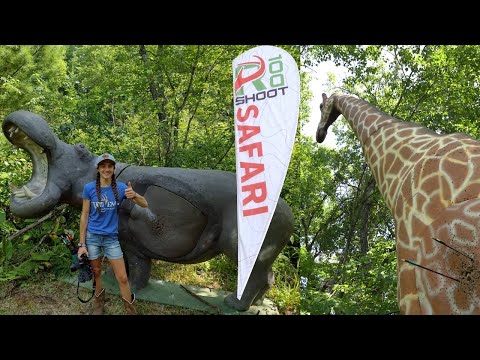 Видео: Турнир по стрельбе из лука Rinehart R100 3D