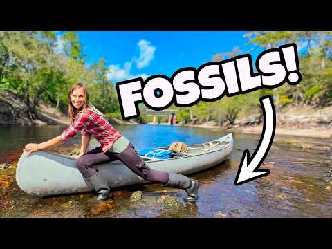 Видео: Мы нашли ФАНТАСТИЧЕСКИЕ окаменелости в ручье во Флориде! 🛶🐊🦈