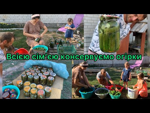 Видео: 🥒 ОГІРКИ на зиму|| вечеря від братика