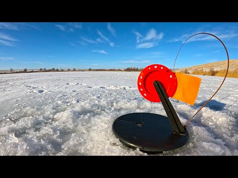 Видео: ПОПАЛИ В ЩУЧЬЕ ЛОГОВО, Я В ШОКЕ!! РЫБАЛКА КАК В СКАЗКЕ!! Зимняя рыбалка на жерлицы 2025