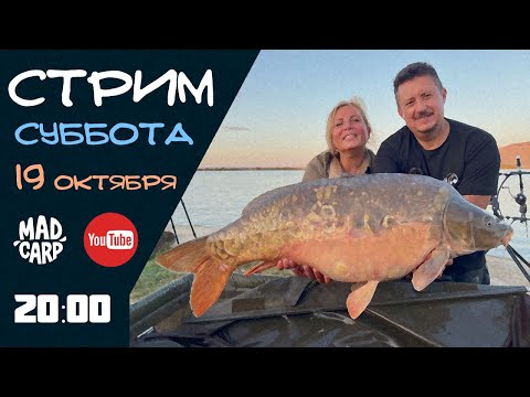 Видео: Стрим команды Mad Carp о карпфишинге и не только. Итоги сезона.