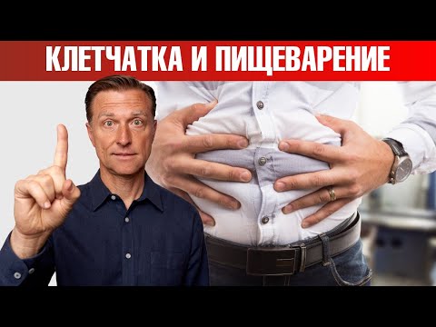 Видео: Употребление клетчатки и проблемы с пищеварением🤷‍♀️