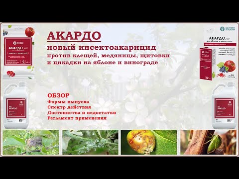 Видео: Акардо - новый инсектоакарицид против клещей, щитовки, медяницы и цикадок на яблоне и винограде