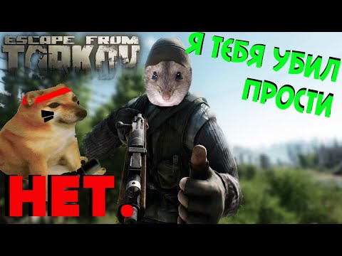 Видео: Наказание крысы (Escape From Tarkov)