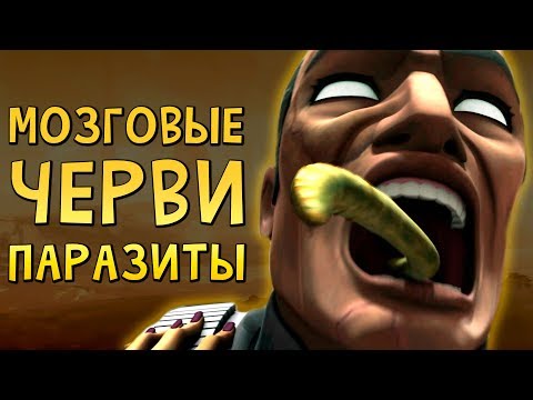 Видео: КРИПОВАЯ ХРЕНАТЕНЬ: МОЗГОВЫЕ ПАРАЗИТЫ ДЖЕОНОЗИСА