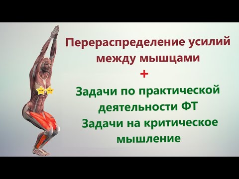 Видео: Перераспределение усилий мышц. Задачи по практической деятельности ФТ и на критическое мышление