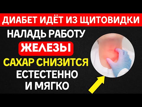 Видео: Скрытая причина высокого сахара — в щитовидной железе