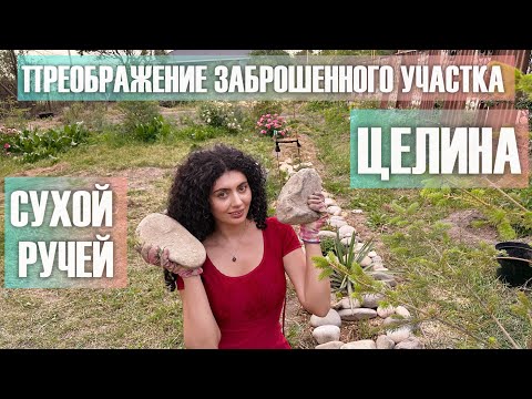 Видео: Расчищаем участок. Борьба с бронзовками и аленками. Жуки жрут розы
