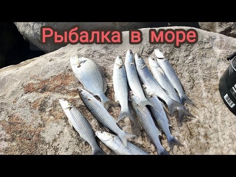 Видео: Веселая морская рыбалка