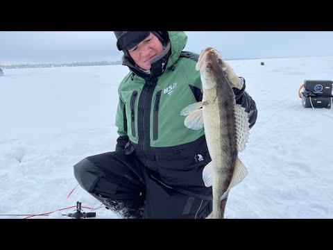 Видео: Вот тебе и глухозимье! Судаки клюют весь день. Рыбалка на Чебоксарском водохранилище.