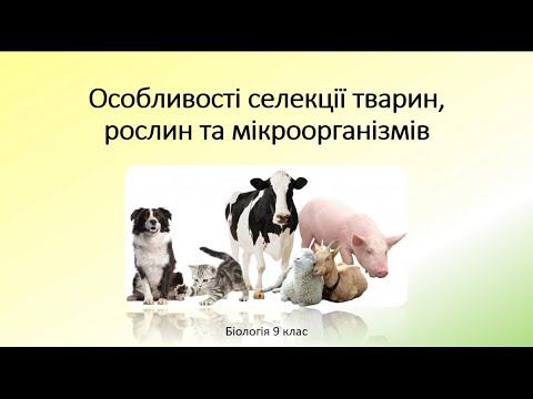 Видео: Біологія 9 клас. Особливості селекції тварин, рослин, мікроорганізмів