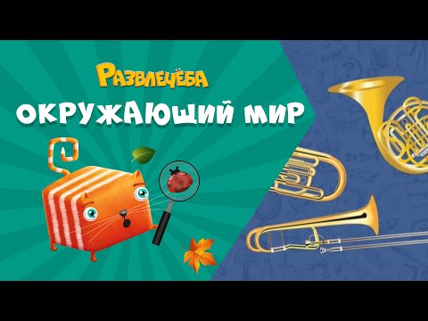 Видео: Развлечёба. Окружающий мир. Про музыкальные инструменты