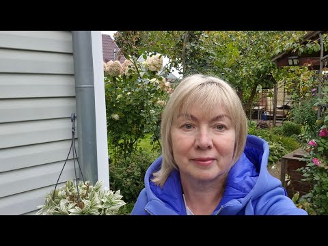 Видео: Мерзнем на даче.Новая стрижка.Готовлю обед: Суп.Рулетики с грибами и беконом. Заливной пирог