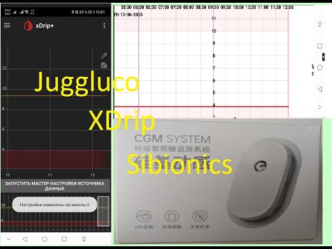Видео: Установка и настройка Juggluco / Джагглоко и XDrip, активация сенсора Sibionics / Сибионикс