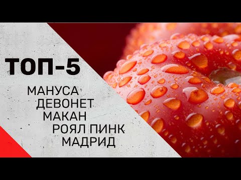 Видео: Топ-5 томатов выращенных в 2021 году.