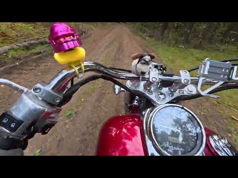 Видео: 5 октября 2025 г.