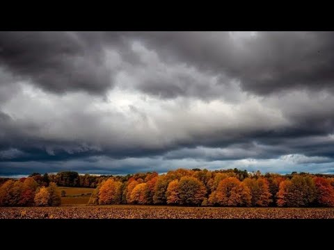 Видео: Немного из жизни за октябрь.... 