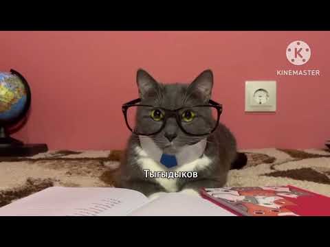 Видео: Эфир смайлик ТВ 