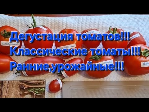 Видео: Ранние,урожайные томаты!!!Дегустация классических томатов!!!