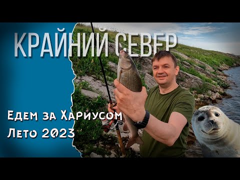 Видео: Едем за Хариусом. Лето 2023.
