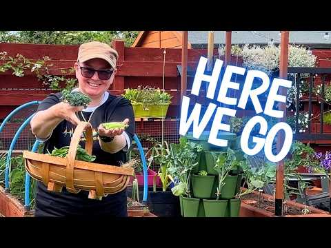 Видео: За пределами урожая: июньский сад // Сад 2024