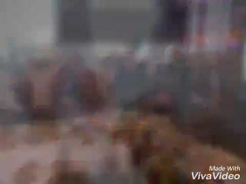 Видео: Тоолос .Жайылма 1982 ж