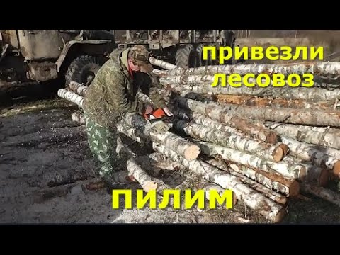 Видео: Привезли лесовоз дров/Пилим.