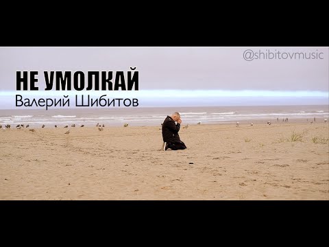 Видео: НЕ УМОЛКАЙ Валерий Шибитов [OFFICIAL VIDEO] IGTV @shibitovmusic | Apple Music & Spotify