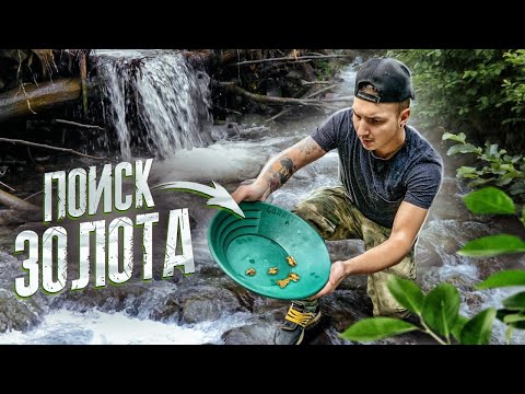 Видео: ПОИСК ЗОЛОТА В РУЧЬЕ! ВОТ ЧТО Я НАШЕЛ...