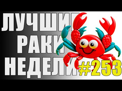 Видео: ЛРН выпуск №253 🤪 МОЁ РАКООБРАЗИЕ и ПАСХАЛКА от МЕДОЕДА  [Лучшие Раки Недели]