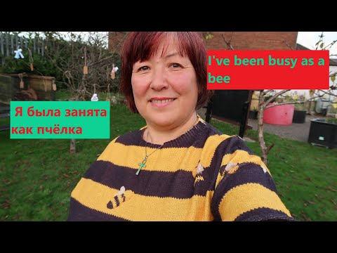 Видео: I've been busy as a bee| Я была занята как пчёлка