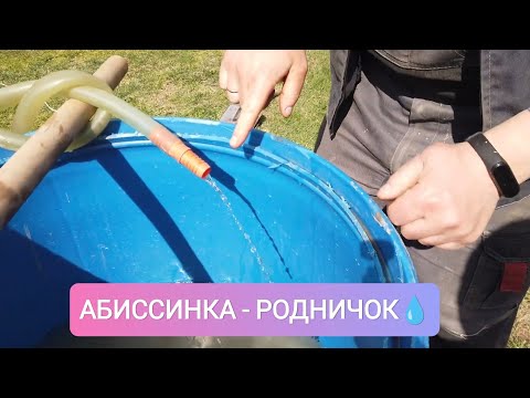 Видео: АБИССИНКА С ОООЧЕНЬ МАЛЫМ ДЕБИТОМ! ГЛУБЖЕ ЖЕЛЕЗО,БУРИТЬ НЕ СТАЛИ,ЗАКАЗЧИКУ НУЖНА МЯГКАЯ ВОДА.