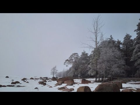 Видео: Зимняя рыбалка на Финском заливе | 58 км | Корюшка