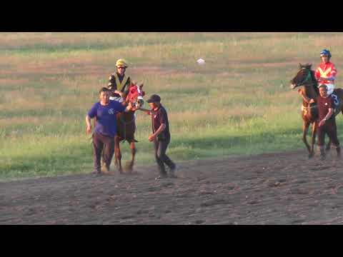 Видео: Скаковой день 24 июня. Дистанция 4800 м. Буойун