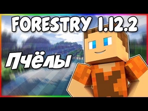Видео: Гайд по Forestry 1.12.2 #3 Пчеловодство