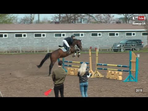 Видео: Открытый Чемпионат г. Днепропетровска по конному спорту среди юниоров, юношей и детей. 11.04.2019 г.