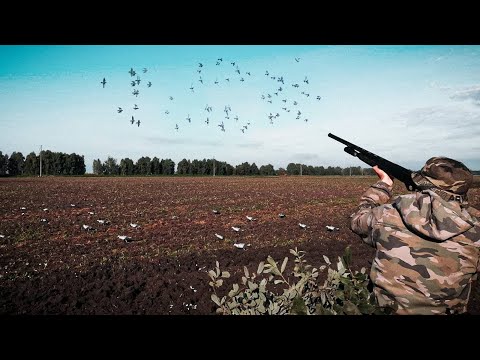 Видео: ОХОТА НА ВЯХИРЯ С ЧУЧЕЛАМИ 2021. С Чивой в скрадке