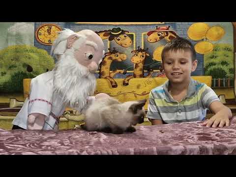 Видео: Дзед Барадзед. Коцiк Петрык i Мышка.