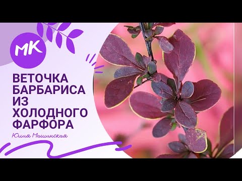 Видео: МК "Веточка Барбариса" из холодного фарфора