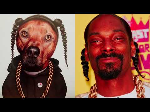 Видео: ЛЮБИМЫЕ ПИТОМЦЫ РЭПЕРОВ | КАКИХ ДОМАШНИХ ЖИВОТНЫХ ЗАВОДЯТ РЭПЕРЫ?