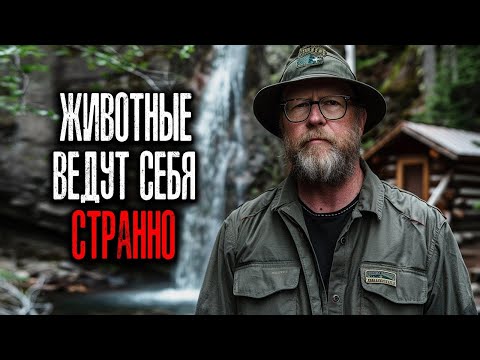 Видео: ОСТОРОЖНО Йеллоустоун  Животные ведут себя странно — Мы знаем, что причина не в них!