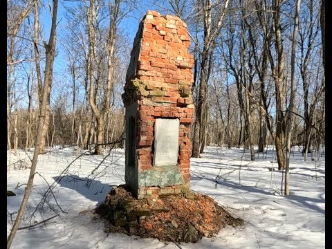 Видео: Остатки усадьбы Носково. Монастырщинский район.